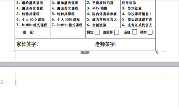 WPS Office2024专业增强版