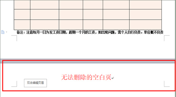 WPS Office2024专业增强版