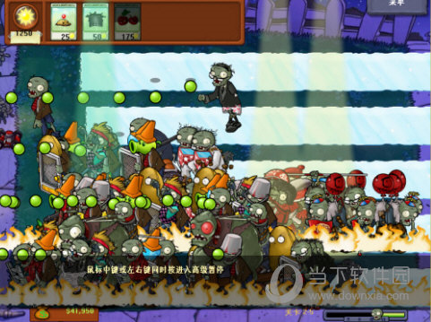 植物大战僵尸鉴版19