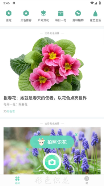 形色