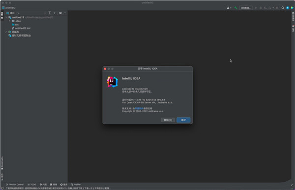 IntelliJ IDEA破解版3