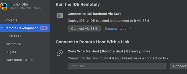 IntelliJ IDEA破解版4