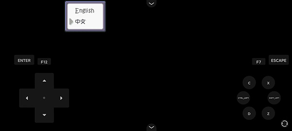 口袋妖怪燃之智汉化版11