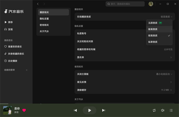 汽水音乐电脑版2023最新版3