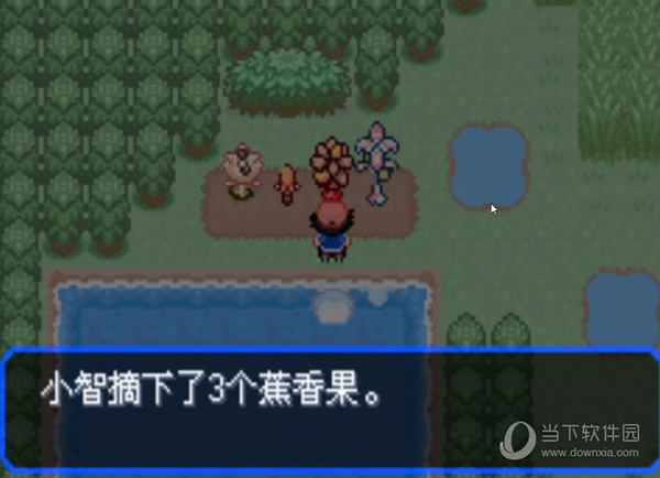 口袋妖怪究极绿宝石4小智版5