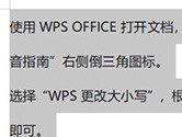 WPS文字怎么更改字母大小寫的 拼音指南幫你忙