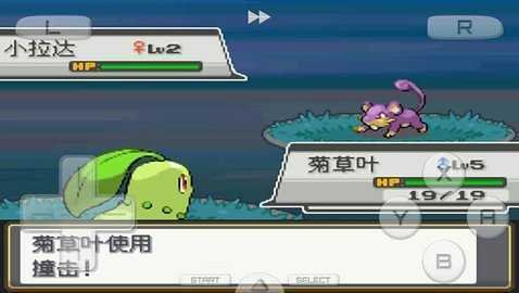 枫车养车APP