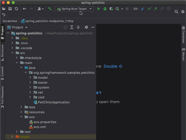 IntelliJ IDEA8