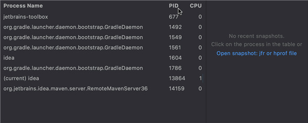 IntelliJ IDEA13