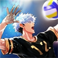 排球高手 V3.1.3 安卓版