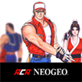 真饿狼传说特别版 V1.1.0 安卓版