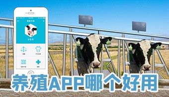 养殖app