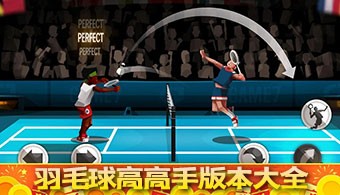 羽毛球高高手全版本