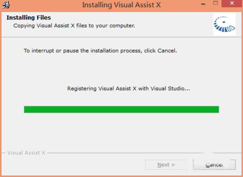 visual assist x