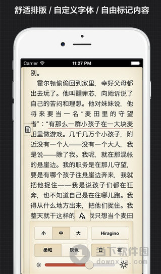 伊书苹果版