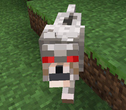 我的世界狼怎么驯服 我的世界狼有什么用 - 当下软件园