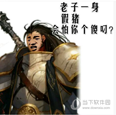 dnf假猪套天下第一表情包