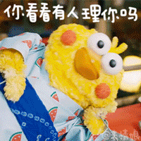 鹦鹉兄弟表情包  10 最新版