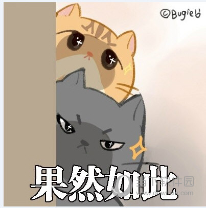 在外面有了猫表情包9绿色免费版