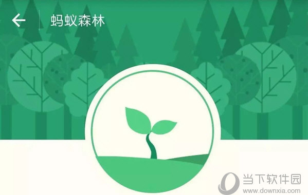 小米手环步数怎么同步到支付宝蚂蚁森林小米手环同步教程