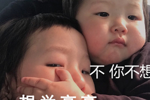 不你不想表情怎么制作 不你不想图生成方法 - 当下软件园