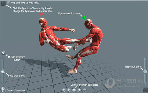 artposepro人物动作建模应用v10mac版