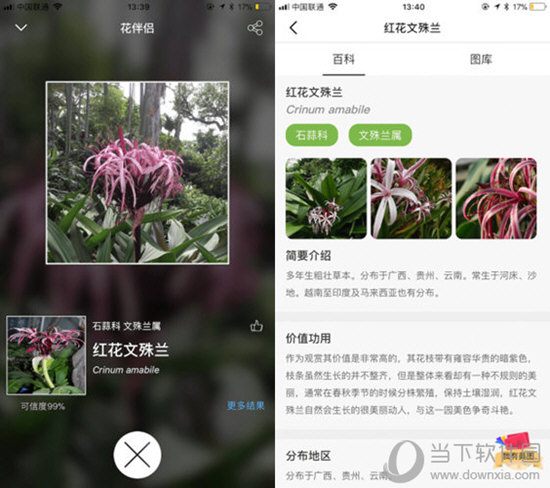 如何知道植物胚軸伸長(zhǎng)_你還知道哪種植物_什么軟件可以知道植物名稱