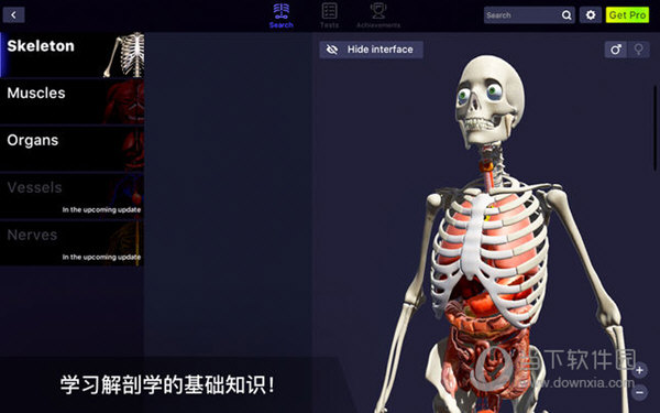 人体的解剖图集v10mac版