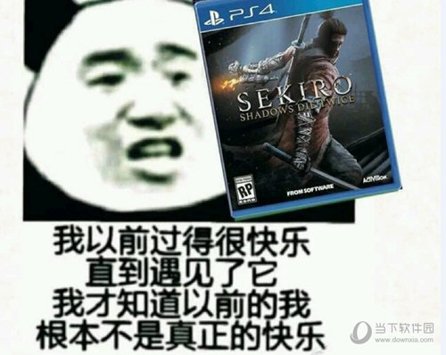 只狼表情包19免费版