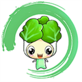 白菜挖 V8.8.3 安卓版