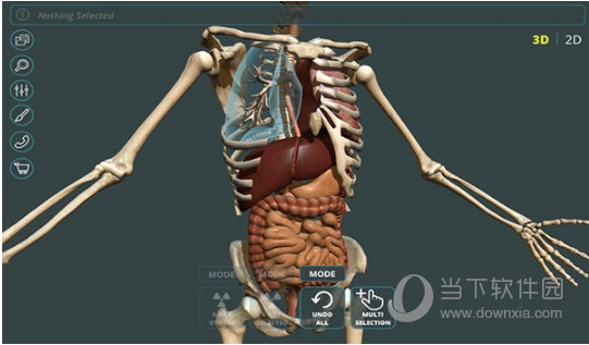 visualanatomy3d3d虚拟人体解剖v10mac版