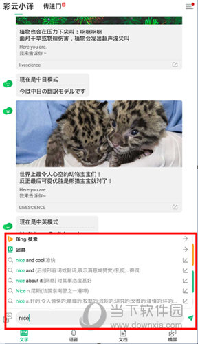 英文翻译成中文