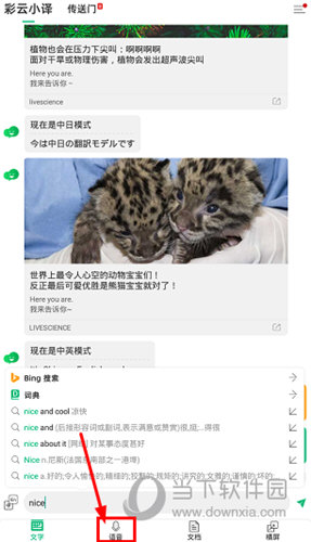 点击下方菜单栏中的“语音”