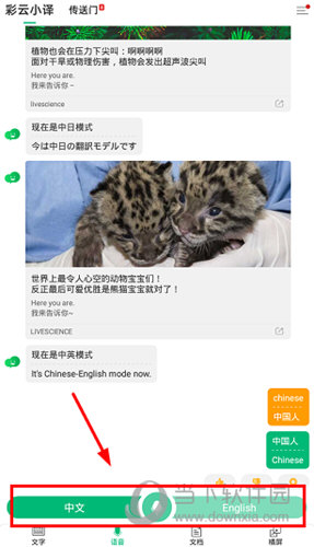 按住中间的“话筒”按钮进行说话