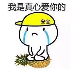 里面包含了各类承认错误的表情图片,跪键盘的,乖巧型的,态度诚恳的