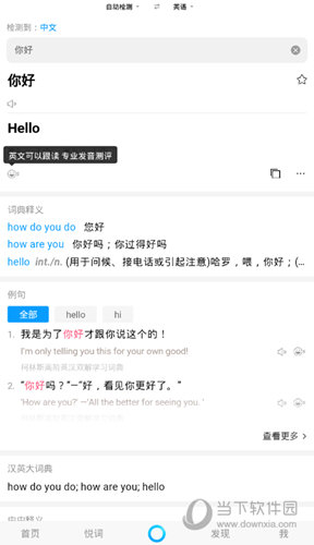 显示翻译结果