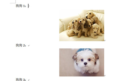 word图片排版对齐方法教你一招所有图片井然有序