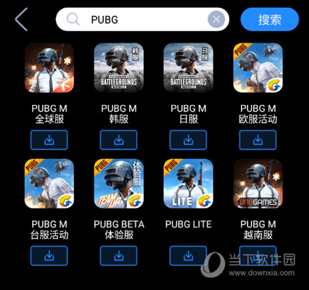 输入PUBG