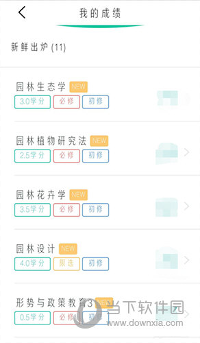 今日校园我的成绩界面