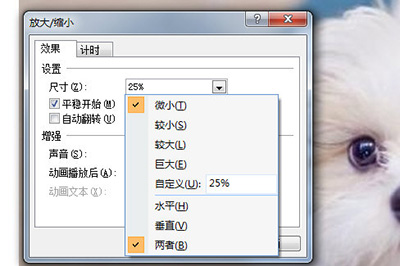 ppt放大缩小效果