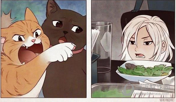 女人指猫表情包  17 免费版