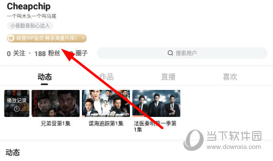 点击账户下方的“VIP会员”按钮