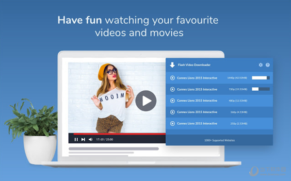 flashvideodownloaderpro浏览器视频下载插件v46官方专业版
