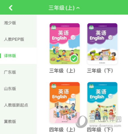 大卫熊英语魔法课堂