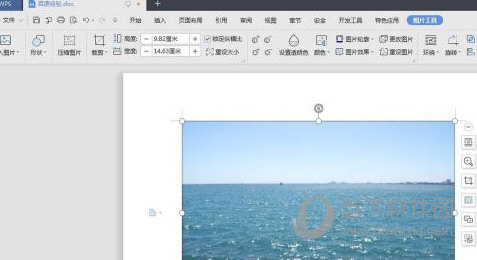 wps2019怎么调整图片亮度设置方法介绍