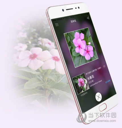 语言:简体中文评分:6下载地址爱植拍-----ai智能识别植物的神器