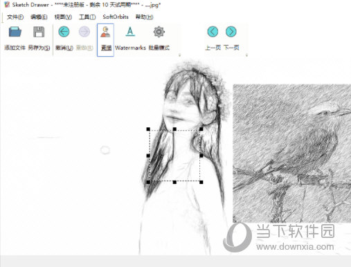 Sketch Drawer