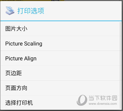 打印选项