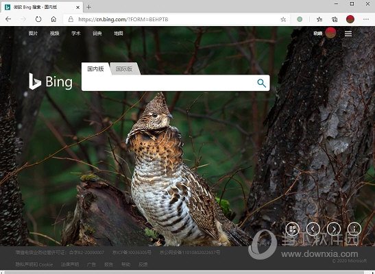 Bing必应壁纸下载|Bing Wallpaper(必应壁纸软件) V2.0.0.0 官方版下载_当下软件园