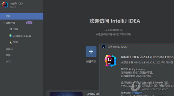 intellij idea2023破解版下载